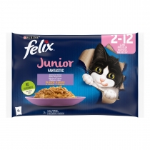 Храна за малки котки Феликс Фантастик Джуниър / Felix Fantastic Junior пауч - мултипак 4 броя х 0.100 грама с вкус на пилешко месо и сьомга в желе