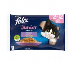 Храна за малки котки Феликс Фантастик Джуниър / Felix Fantastic Junior пауч - мултипак 4 броя х 0.100 грама с вкус на пилешко месо и сьомга в желе